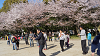 hana26 (240)_thumb.png